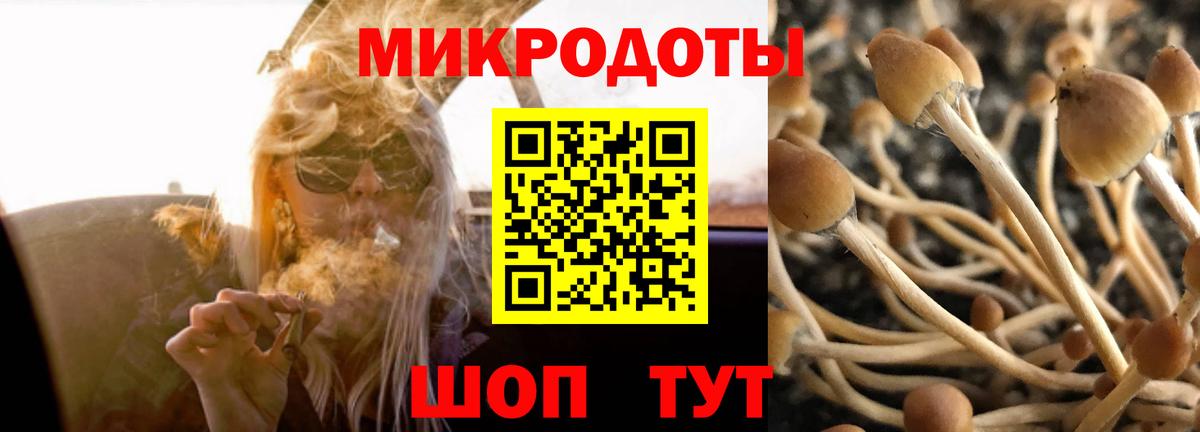 Тимашёвск  Псилоцибиновые грибы Magic Shrooms  Вход с VPN 